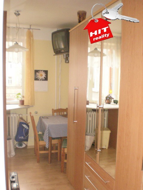Pronájem bytu 1+1 v Plzni na Slovanech