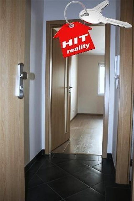 Pronájem bytu 1+kk, 24m², Plzeň - Slovany, Východní předměstí